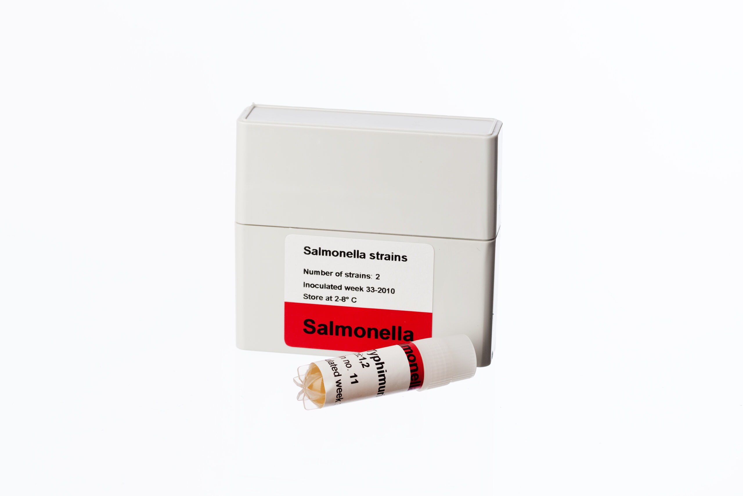 Salmonella strains