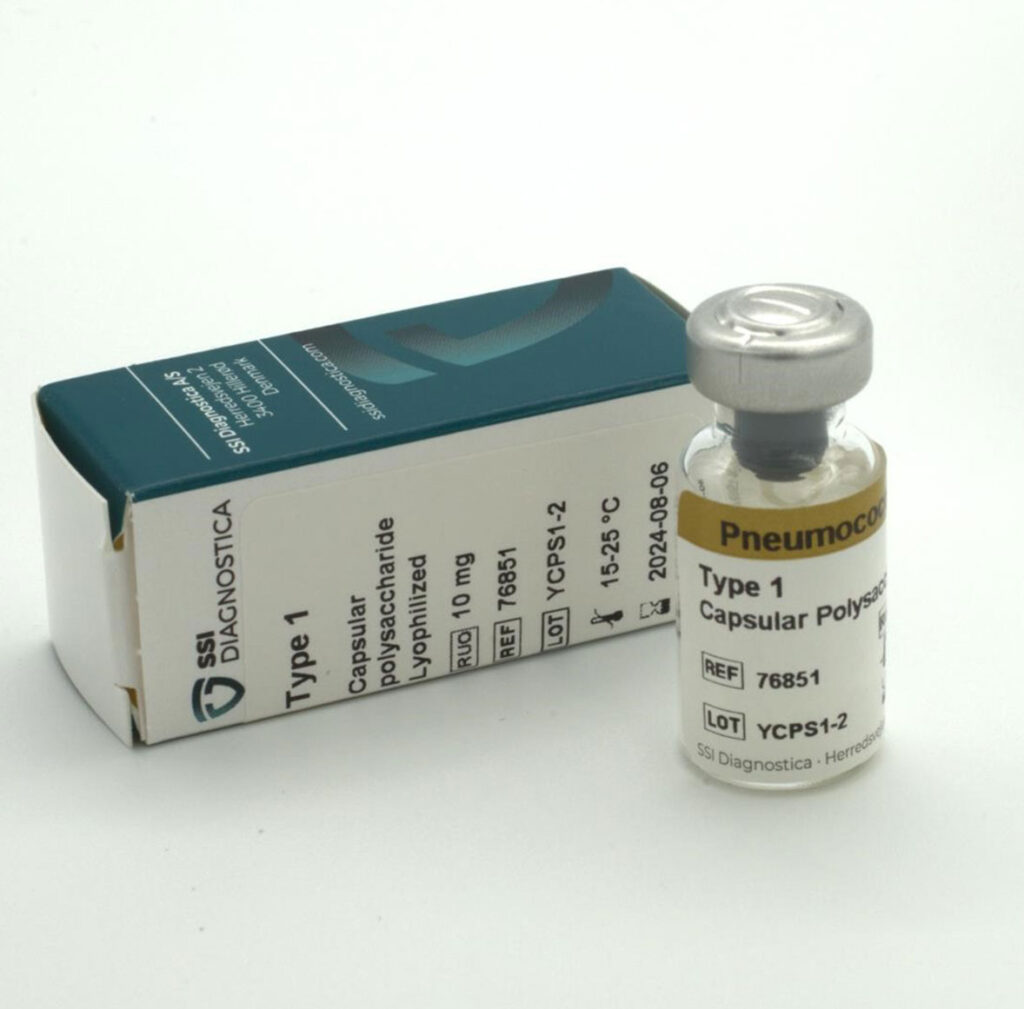 Pneumococcal capsule sugars