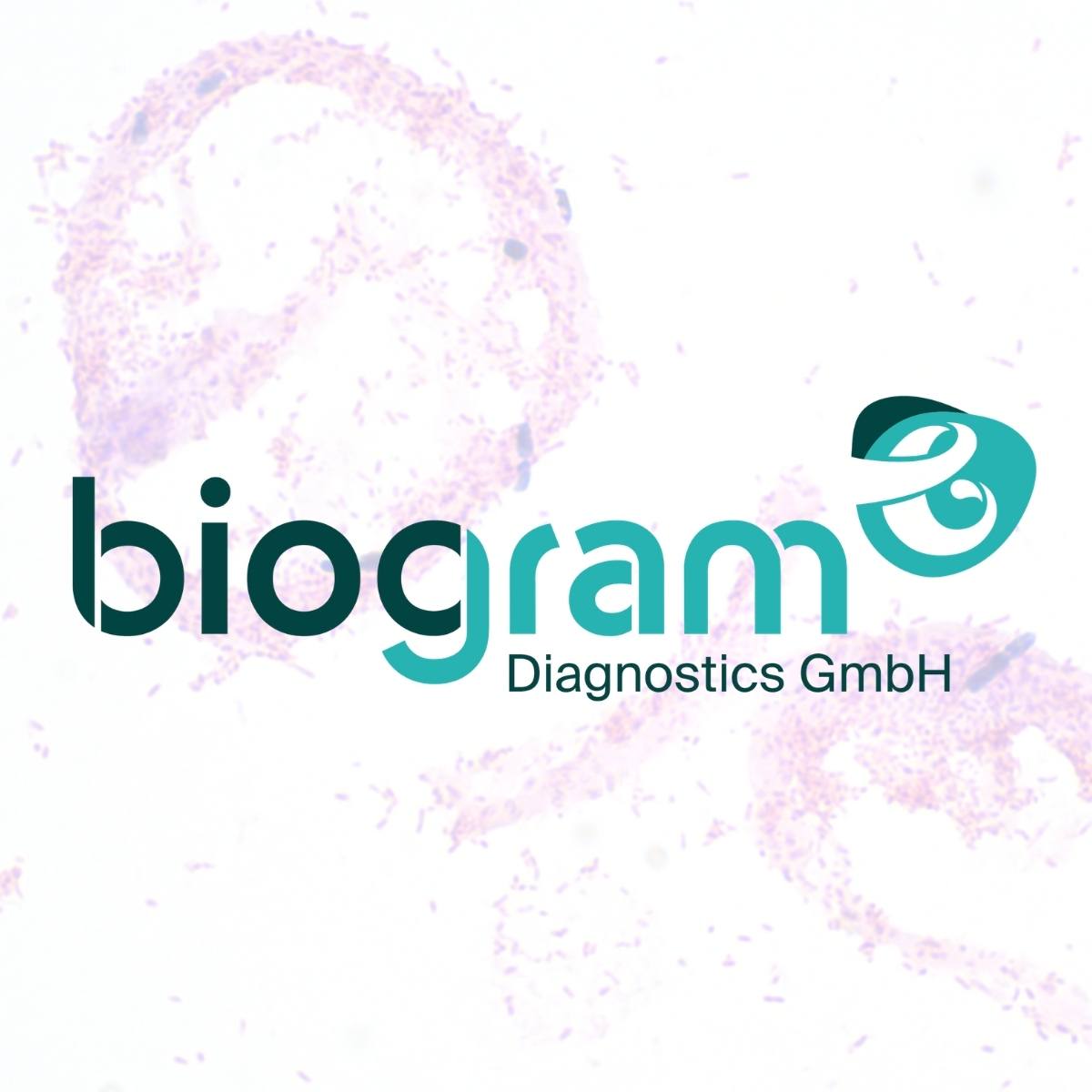 Bio-Gram staining products