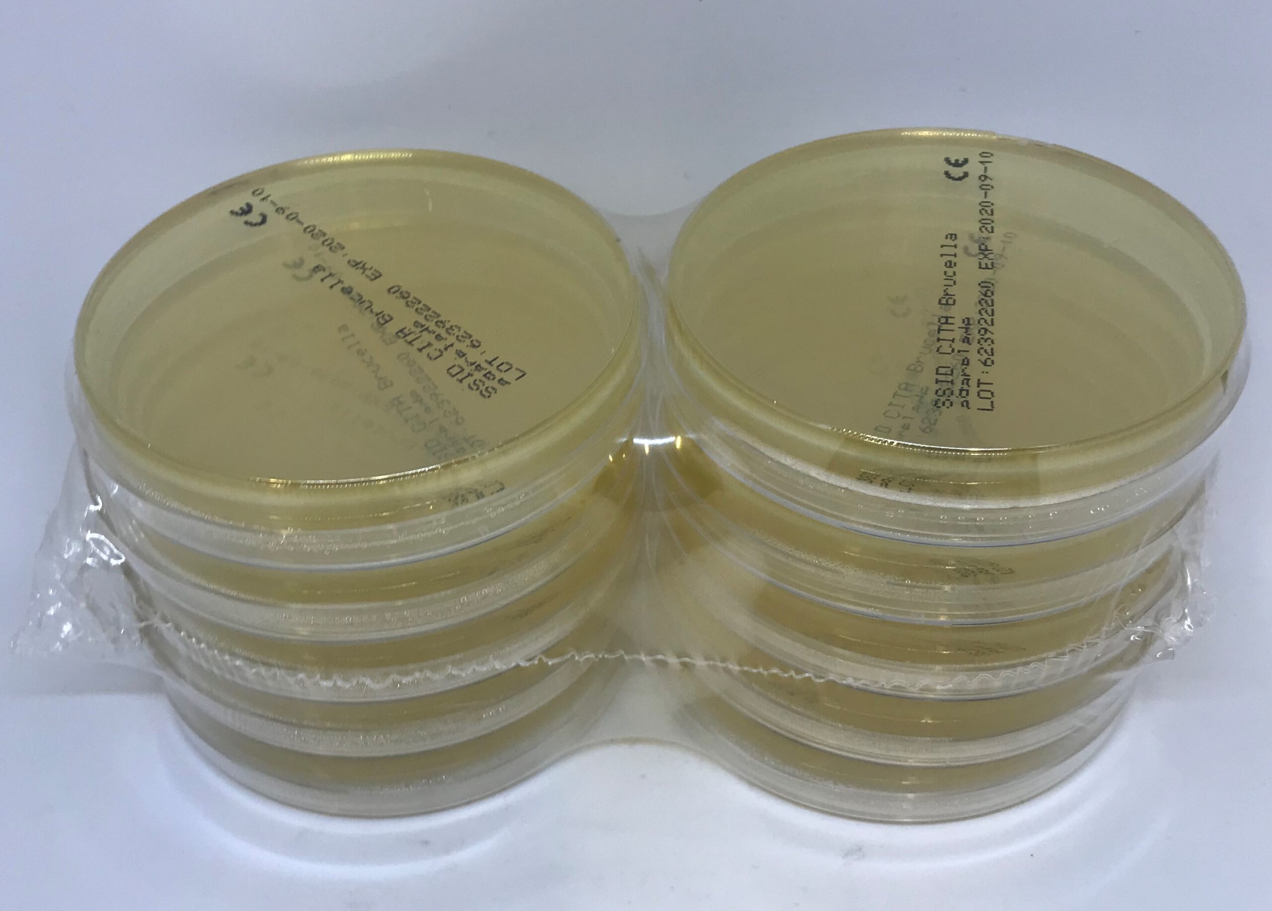 62392 CITA Brucella agarplade 9 cm 10 stk