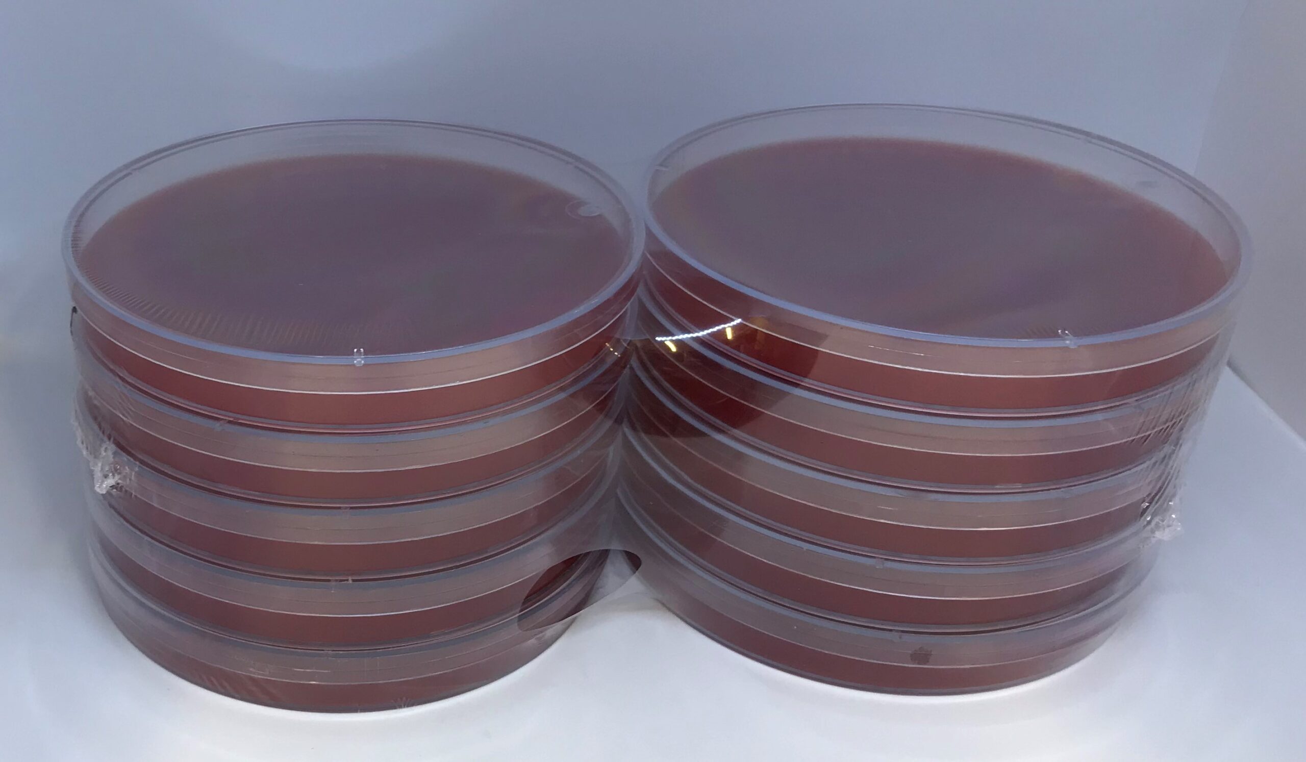 784 Resistens agarplade, 14 cm (6 mm) 10 stk