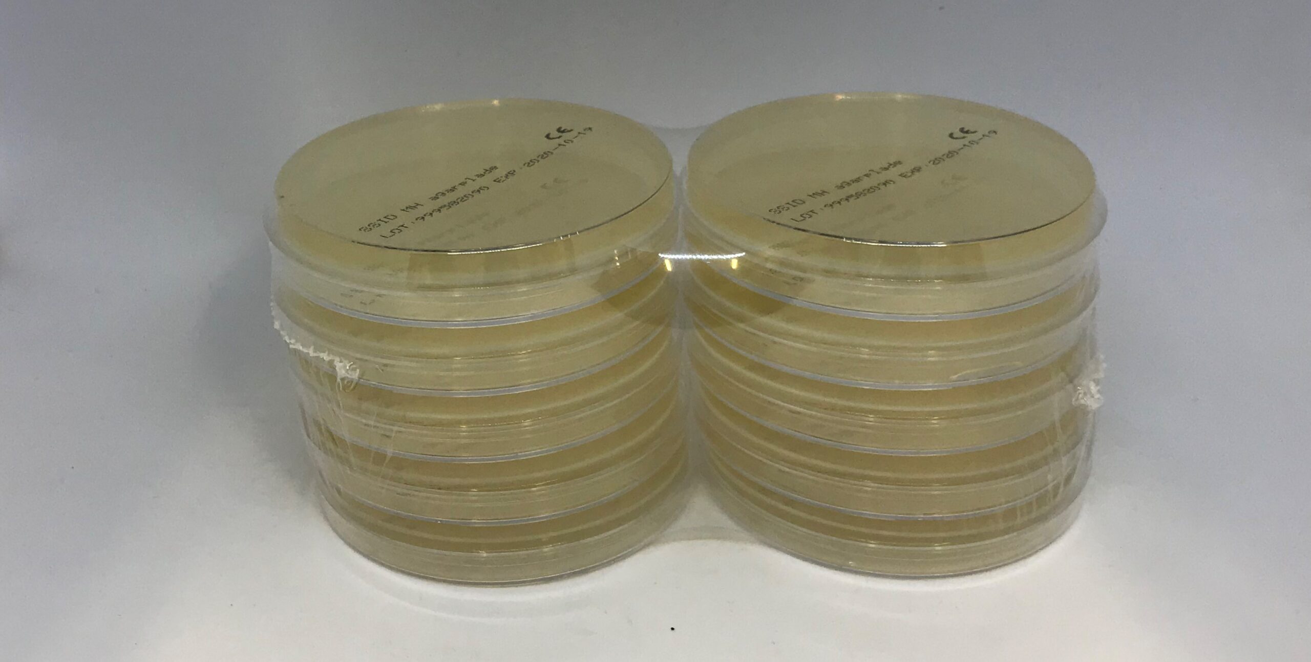 99958 MH agarplade, 9 cm 10 stk