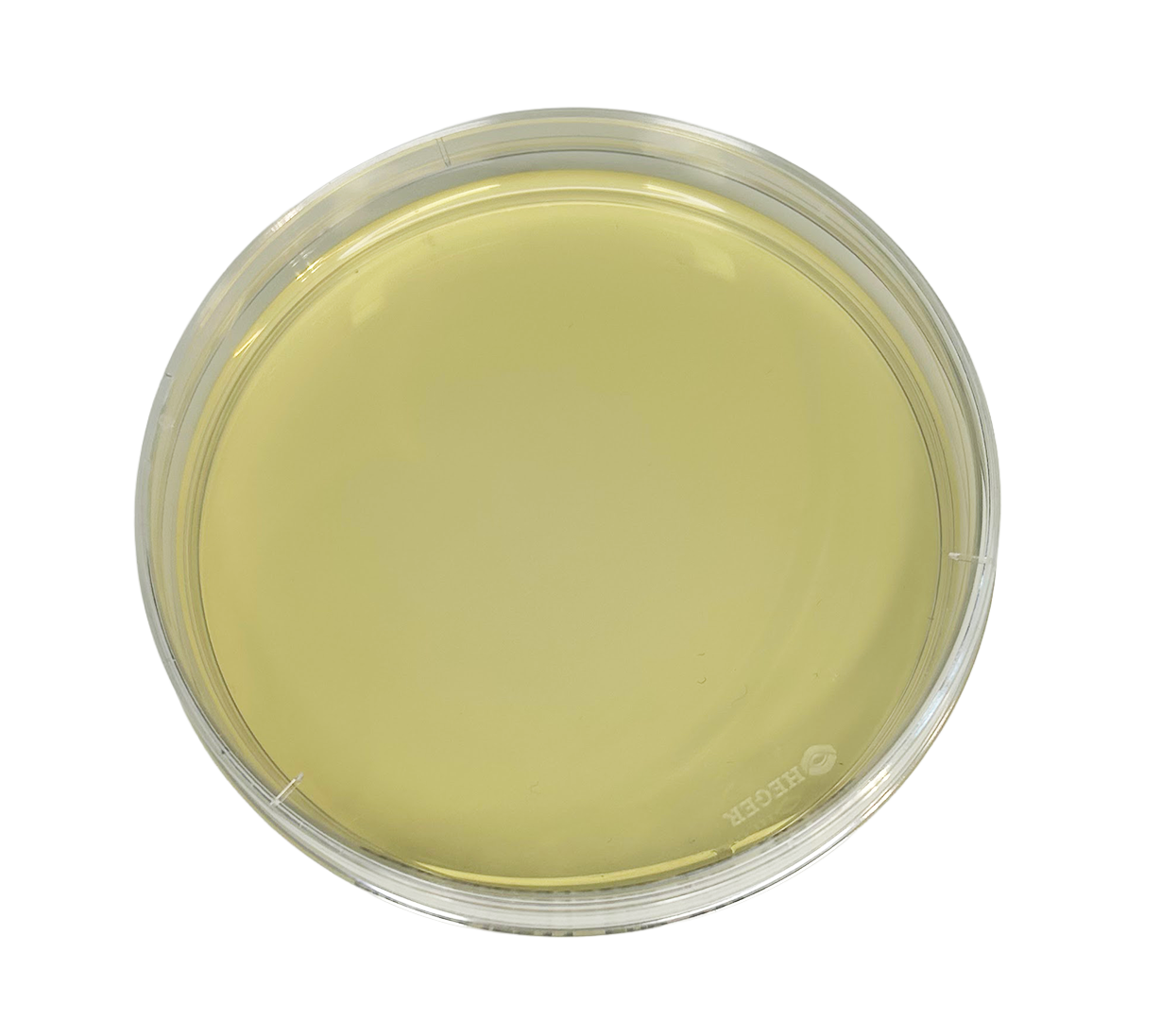 Chrom MRSA agarplade