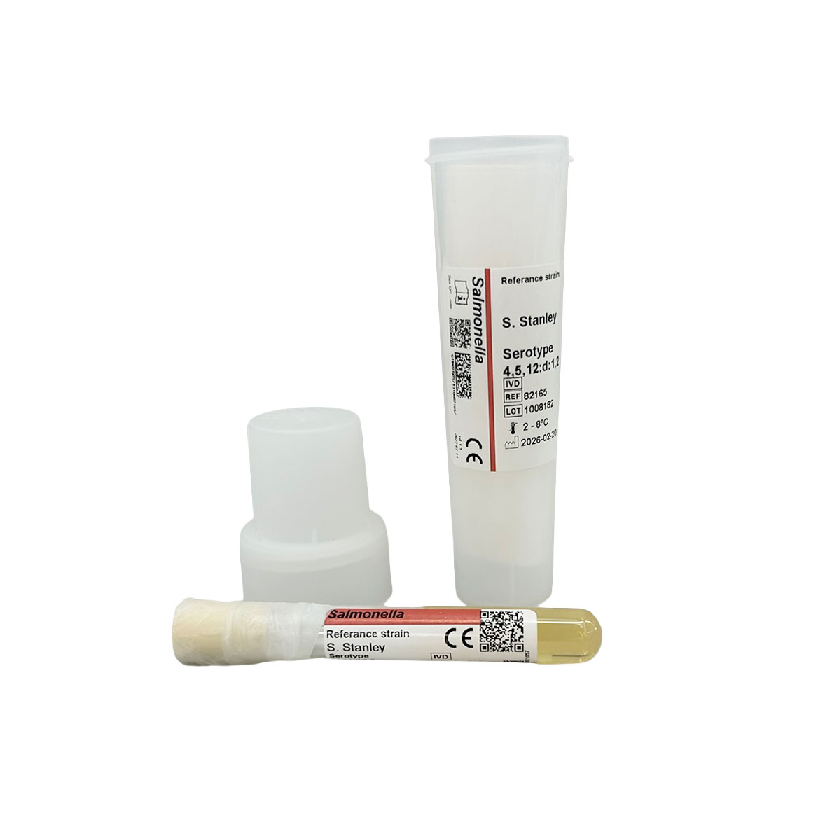Salmonella Strains
