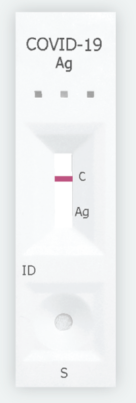 Negative Test- course of action